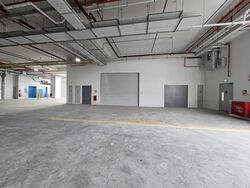 Ct Foodnex (D25), Factory #480263731